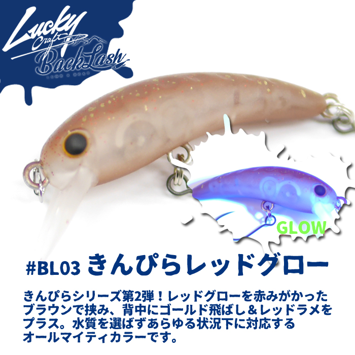 ラッキークラフト ワウ 40F バックラッシュ別注カラー - 【バス