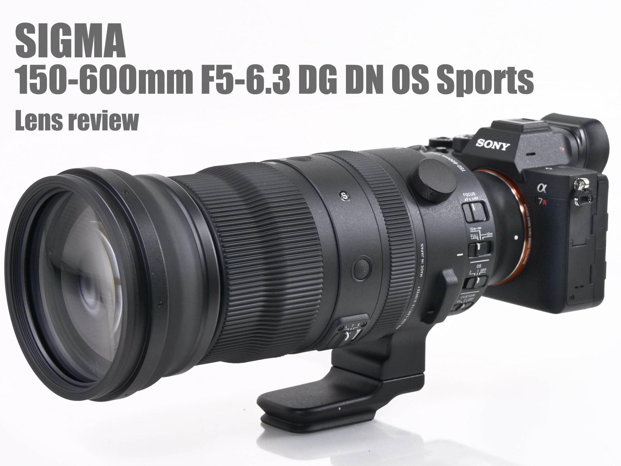 SIGMA 150-600mm Sports 大セール‼️ SIGMA 150-600mm Sports 大セール‼️