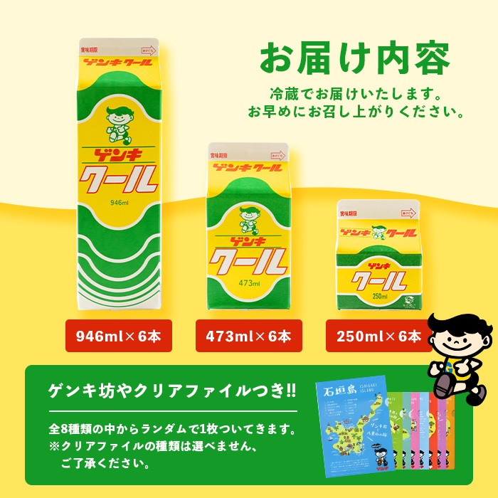 ふるさと納税限定】ゲンキクールバリューセット【八重山ゲンキ乳業